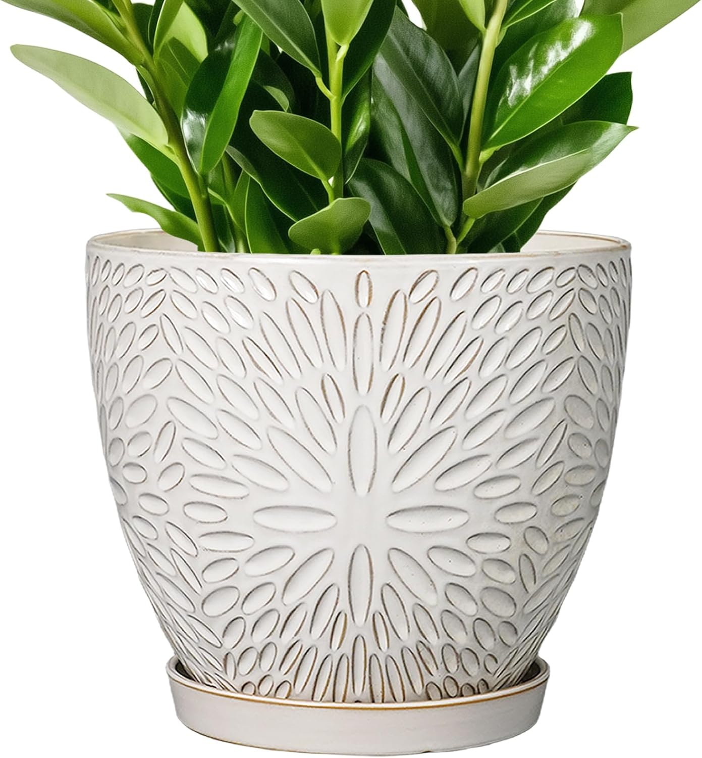 Maceta cerámica 10pulg platillo para plantas interior exterior blanco