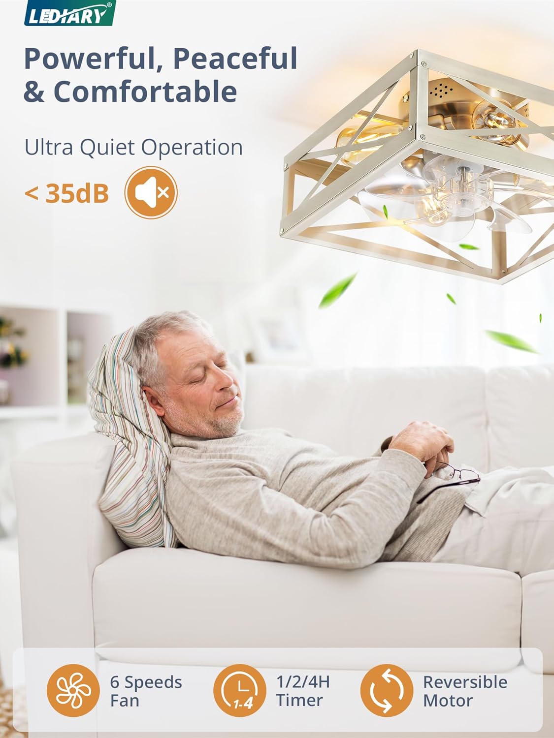 Ventilador techo enjaulado perfil bajo luces control remoto