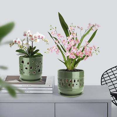 Macetas orquídeas 56pulg cerámica drenaje set 2