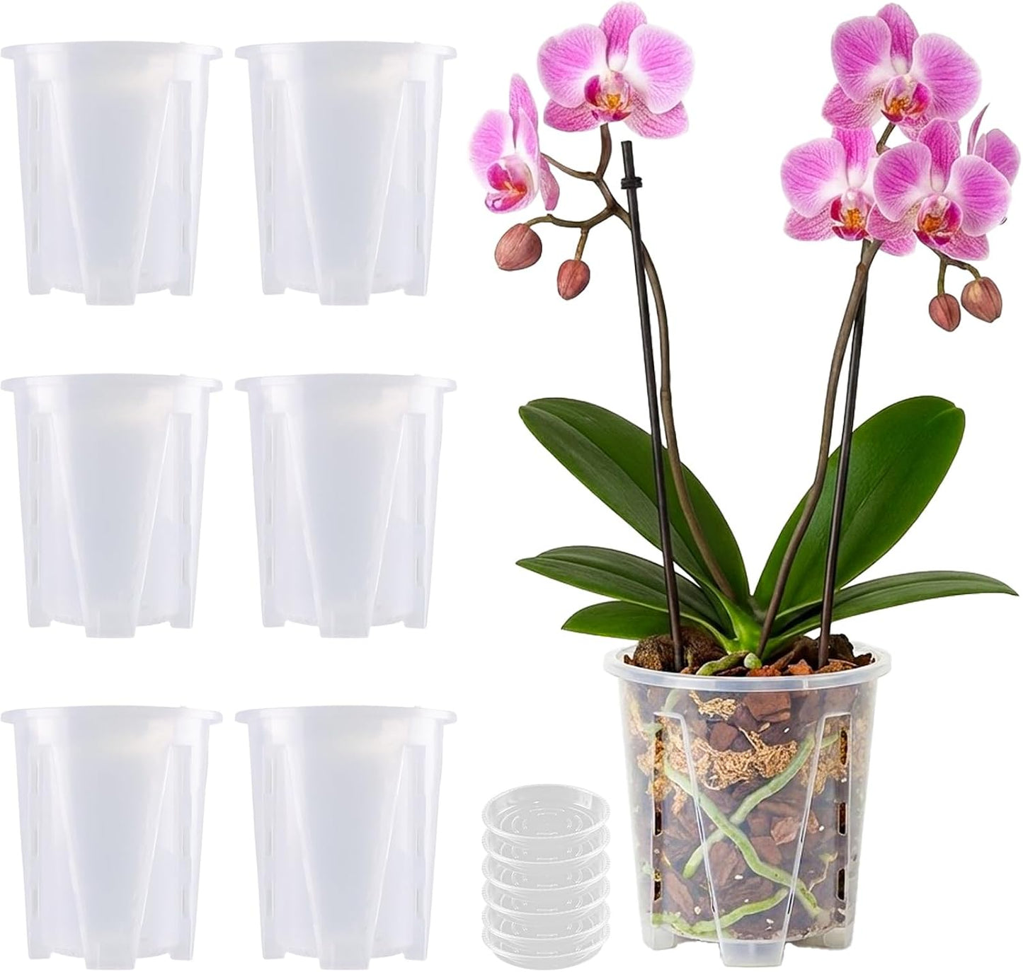 6 Pzas Macetas Plástico 4pulg Orquídeas con Drenaje