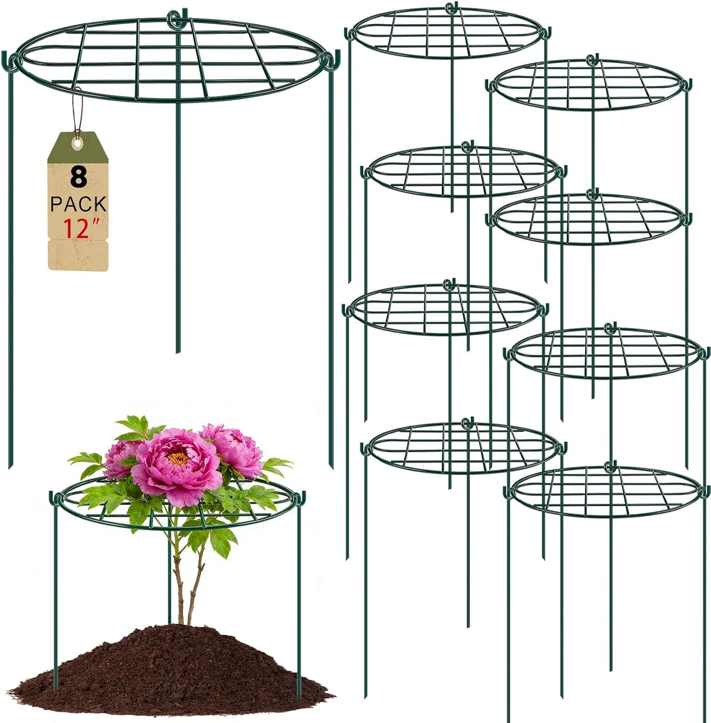 8 Jaulas Peonía 12x15.7pulg Soportes Metal para Plantas