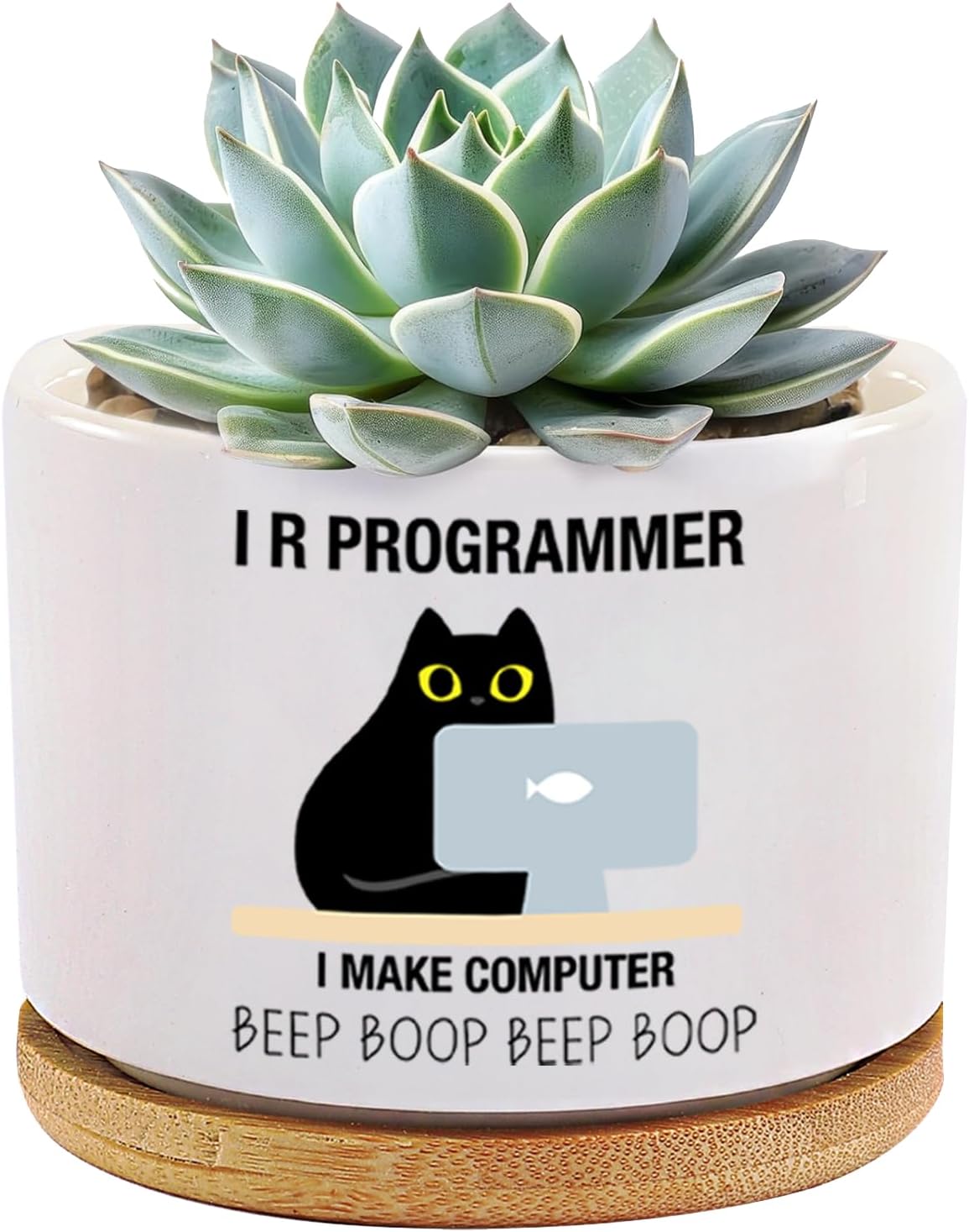 Maceta cerámica suculentas bandeja bambú regalo programadores