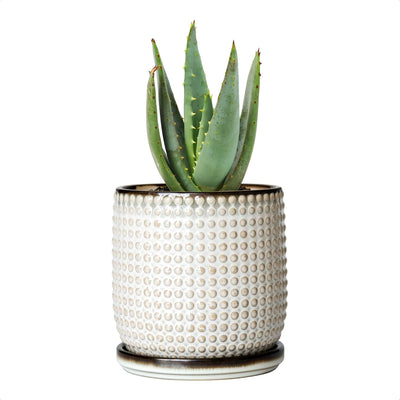 Maceta cerámica con agujeros drenaje y platillo decorativo