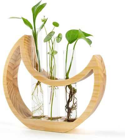 Soporte florero colgante madera tubo vidrio oficina