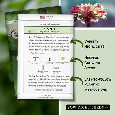 Semillas zinnia barra menta paquete reliquia flores dobles