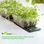 Tapete térmico germinación resistente agua duradero