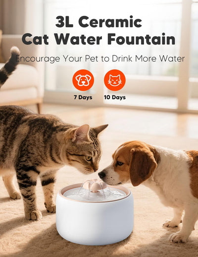 Fuente agua cerámica para gatos 3L con bomba silenciosa