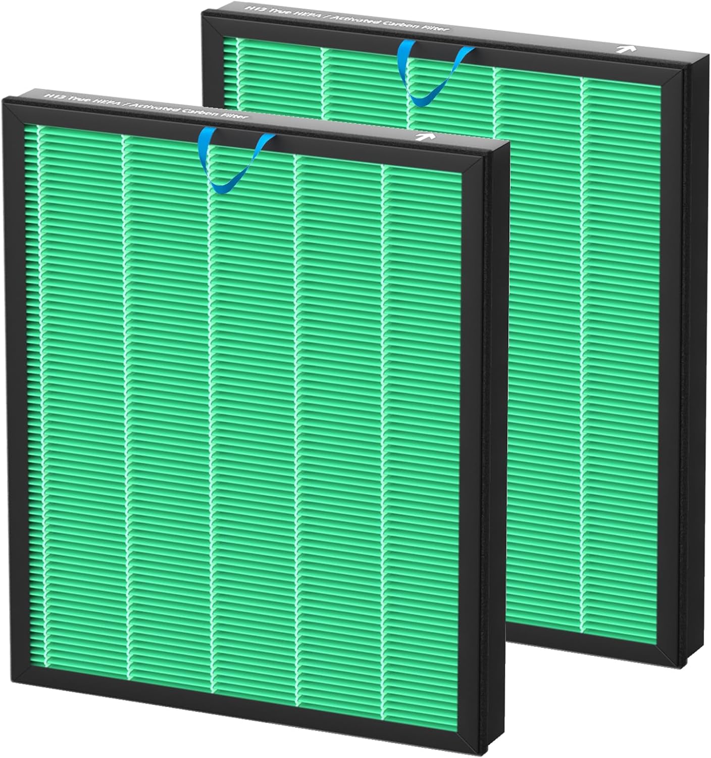 Filtro Vital 100S H13 HEPA y carbón activado pack 2