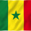 Bandera Senegal 3x5ft poliéster ojales latón doble costura