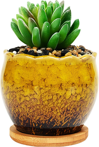 Maceta cerámica cactus jardín bandeja bambú amarilla