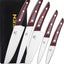 Set 5 Cuchillos Chef Acero Alto Carbono Mango Madera Afilado