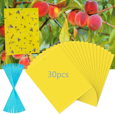 30 Trampas adhesivas amarillas para moscas fruta y plagas