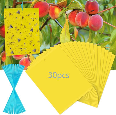 30 Trampas adhesivas amarillas para moscas fruta y plagas