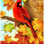 Bandera doble cara hojas arce cardenal 28x40pulg