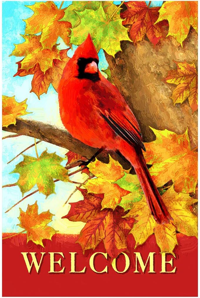 Bandera doble cara hojas arce cardenal 28x40pulg