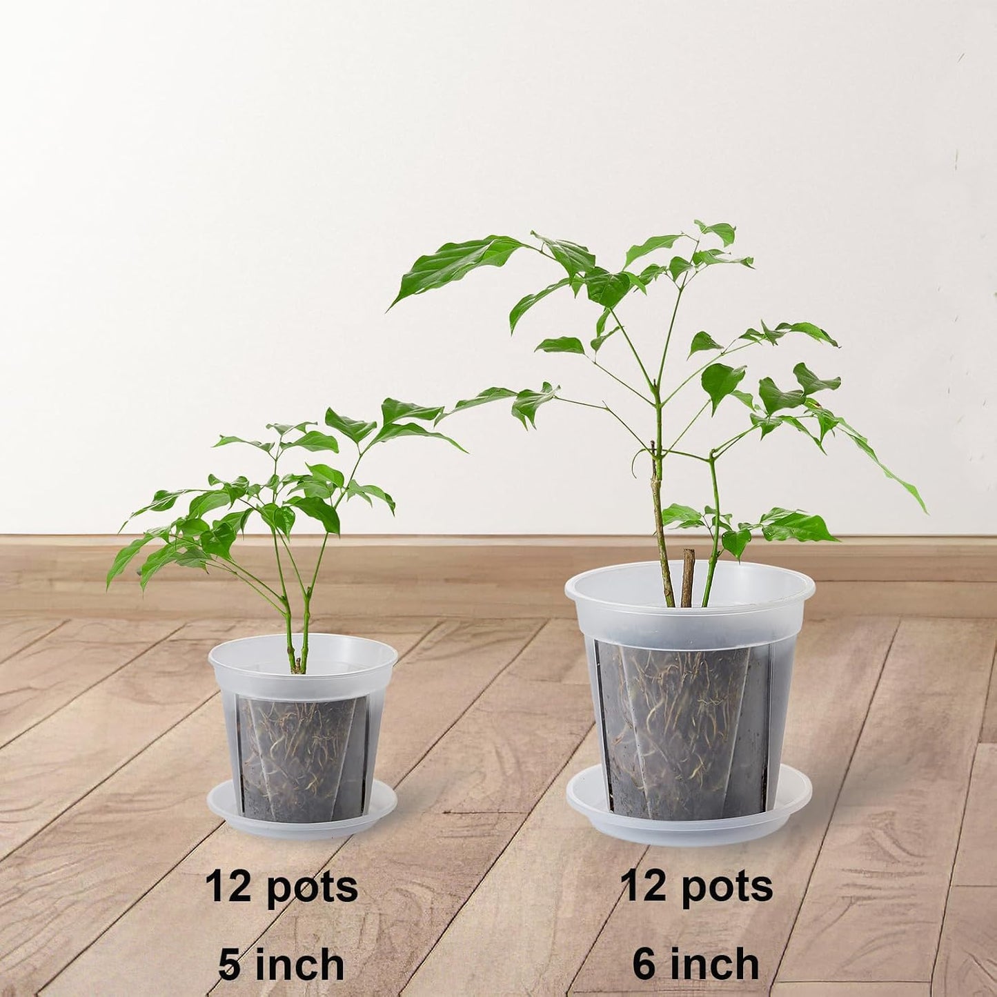 24 Macetas Transparentes 5/6" Rejilla Ventilación Orquídea