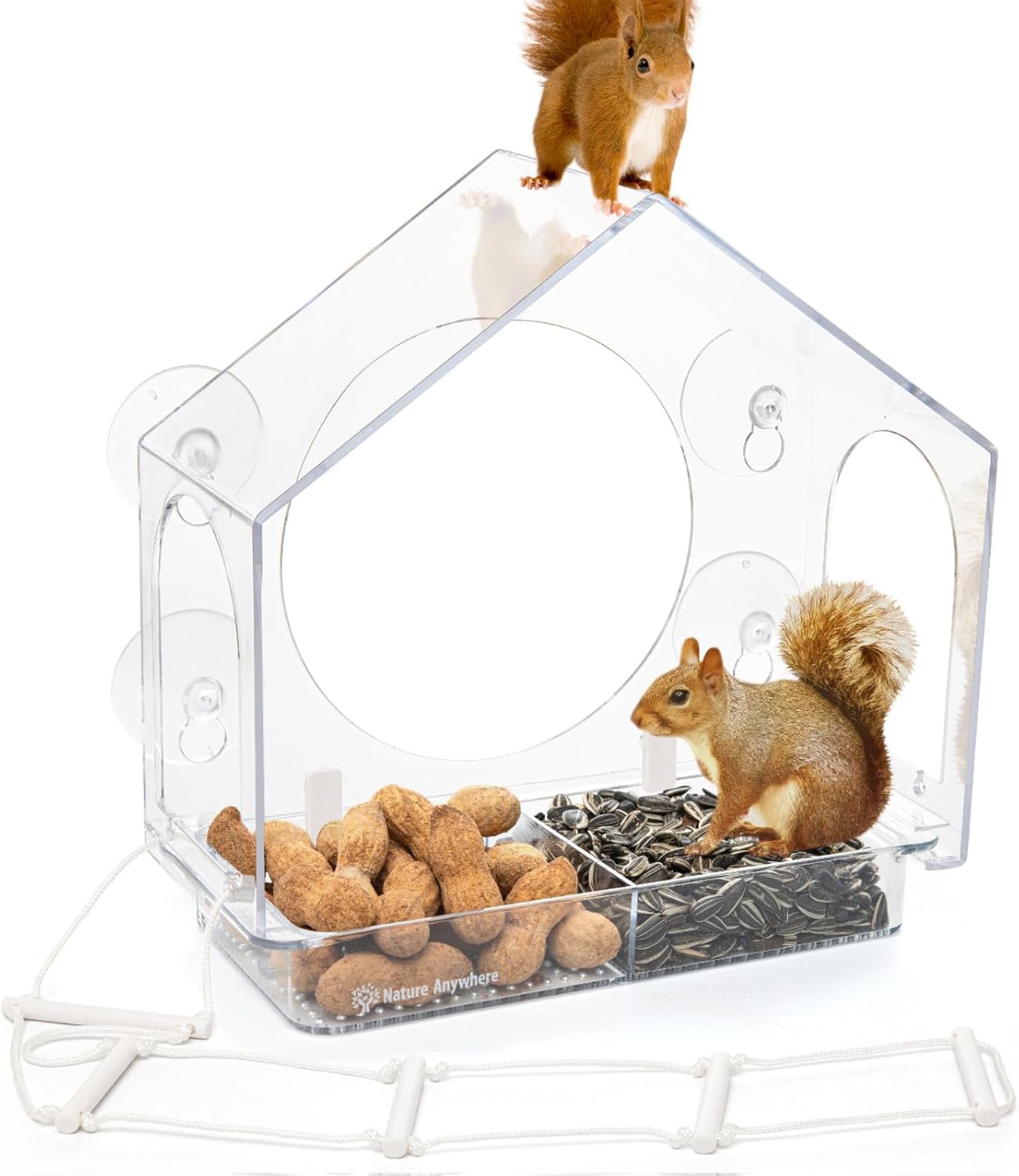 Alimentador ardillas para ventana con ventosas 4x