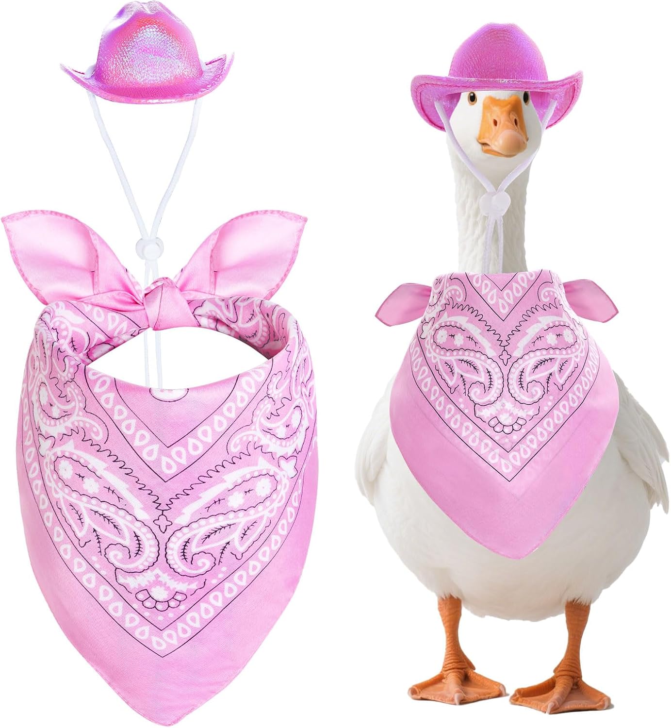 Traje ganso vaquero 23/17pulg sombrero bufanda plástico