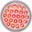 Luz Sellada 24 LED Perla Roja 4" Lente Transparente