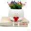Maceta resina corazón suculentas decoración