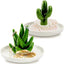 2 Pzas Soporte Cerámica Anillos Cactus Decoración