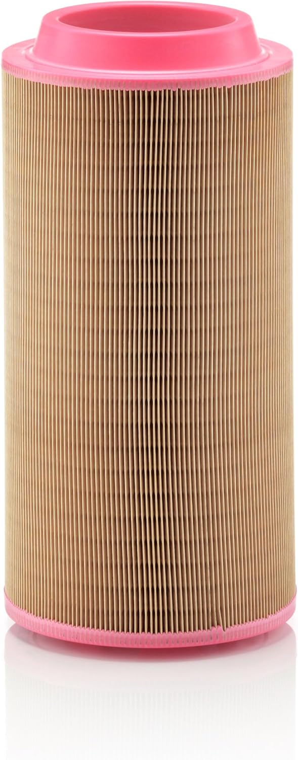 Elemento filtro aire C20500