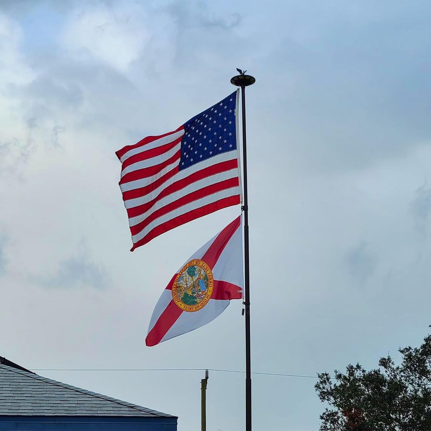 Bandera Florida 3x5ft doble cara colores vibrantes
