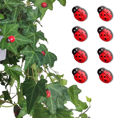 8 imanes seguros para plantas en maceta regalo Navidad