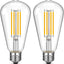 Bombilla LED Edison ST58 regulable 6W blanco cálido