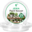 Set 20 Platillos Plástico 6pulg Transparentes