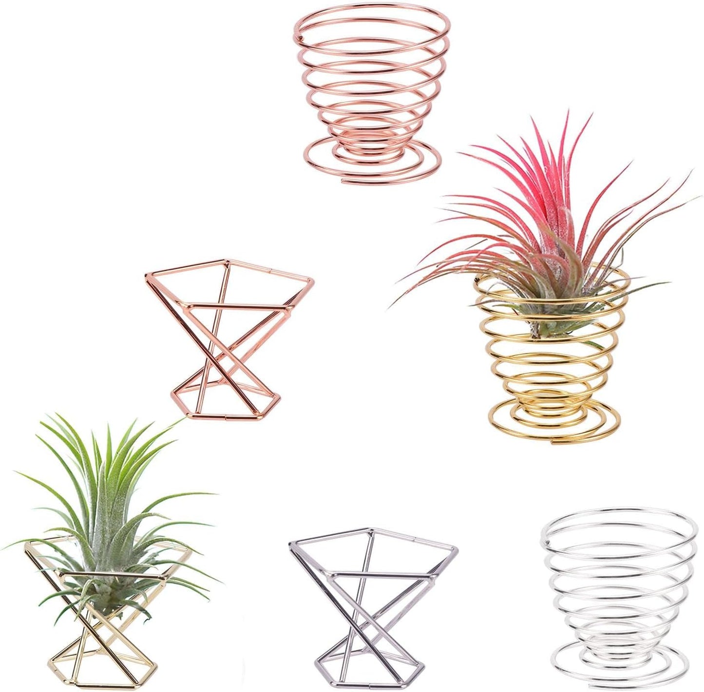 6 Soportes Plantas Aire Alambre Metal Oro Rosa