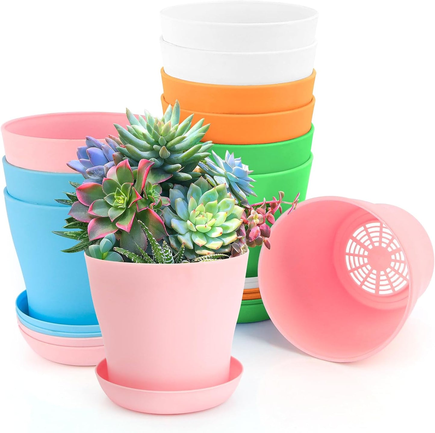 Macetas 4pulg 10uds para suculentas y plantas interiores
