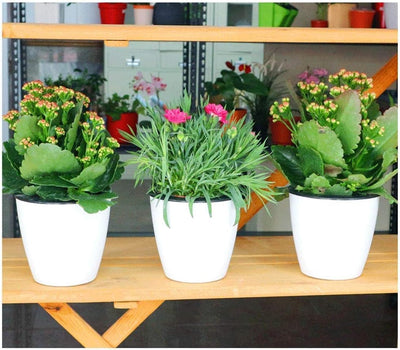 2 Macetas Riego Automático 3.5pulg Blancas para Plantas