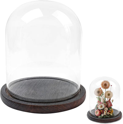 Cúpula cristal base exhibición tarro madera 5.9x7.87pulg decoración