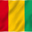 Bandera Guinea 3x5ft Poliéster Ojales Latón Doble Costura