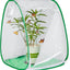 Terrario plegable para insectos y mariposas al aire libre