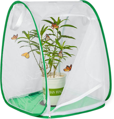 Terrario plegable para insectos y mariposas al aire libre