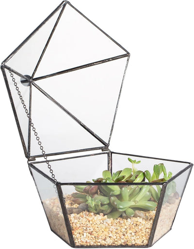 Joyero cristal tapa giratoria terrario pentágono