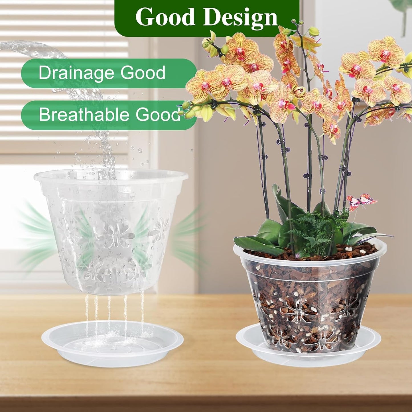 Maceta plástico transparente orquídea 7" set 8 con platillo