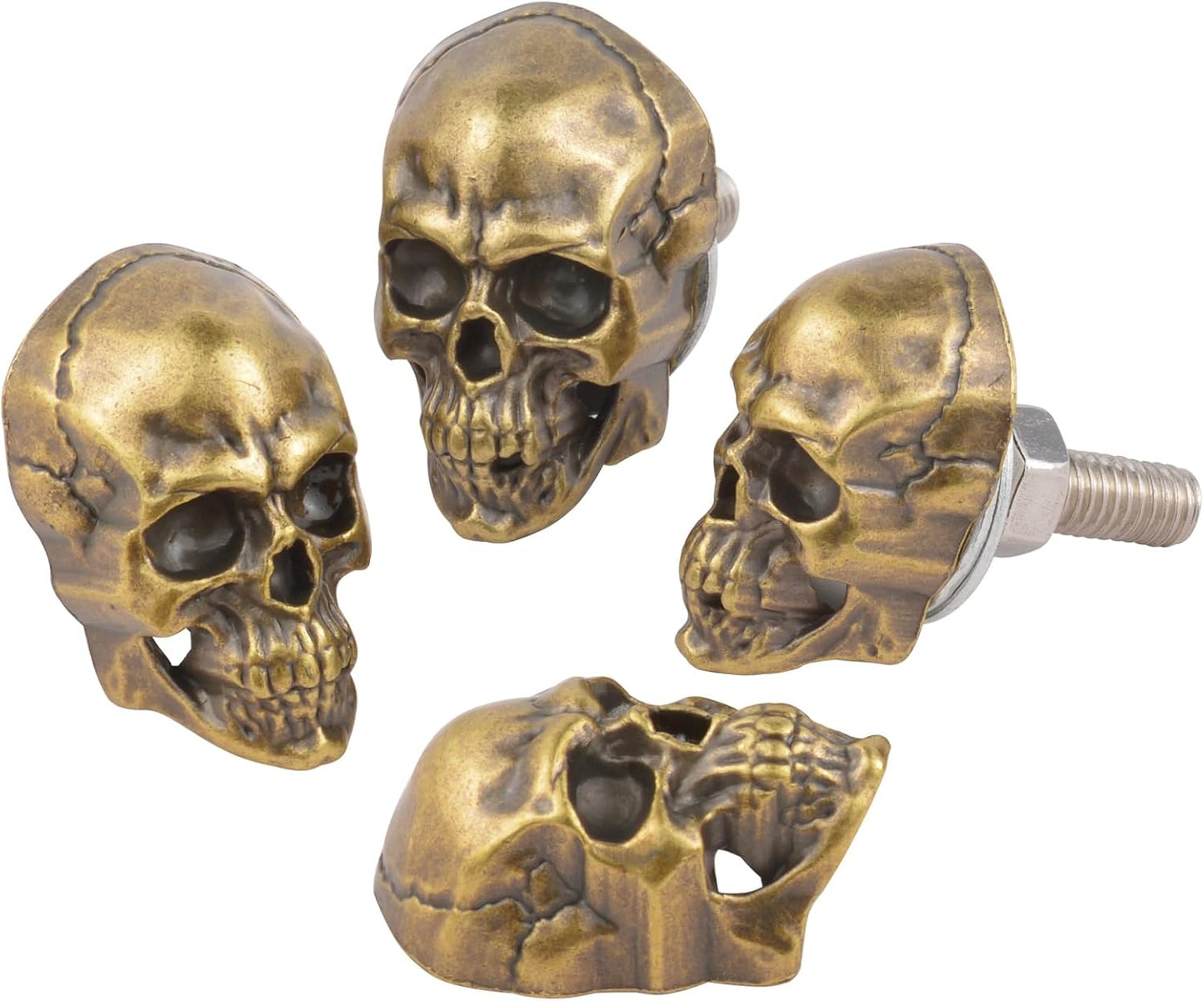 Tornillos matrícula calavera para auto camión SUV cobre