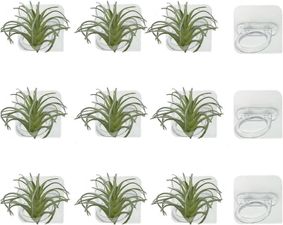 Soporte pared plantas tropicales 12 pzas acrílico decoración hogar