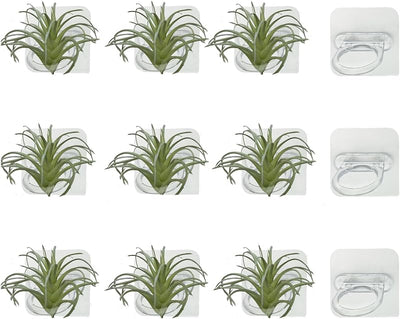 Soporte pared plantas tropicales 12 pzas acrílico decoración hogar
