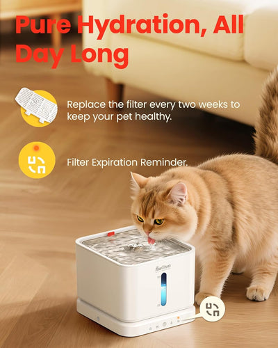 6 Filtros Fuente Agua Gatos para 3L/100oz
