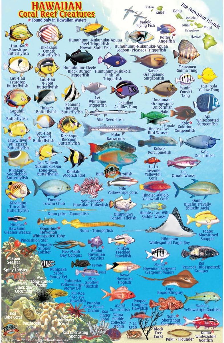 Identificación peces arrecife Hawái para buceadores