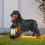 Estatua perro solar decoración jardín patio linterna artística