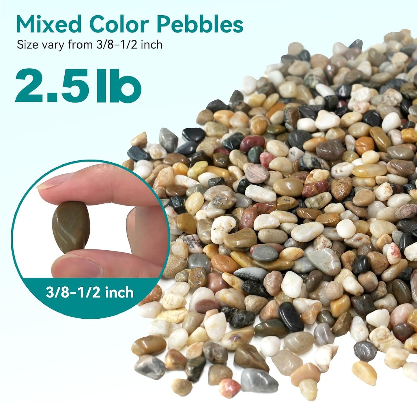 Guijarros 2.5lb para plantas interior 3/8" altamente pulida