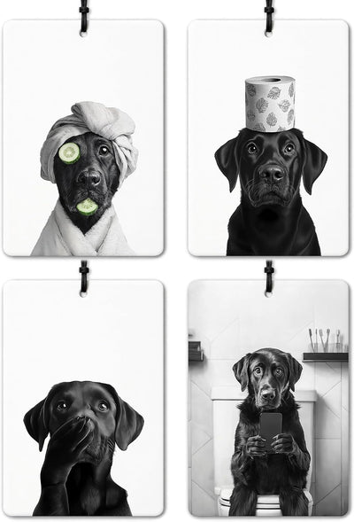 Ambientador colgante Black Labrador 4 pzas para auto y armario