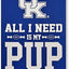 Letrero NCAA Wildcats PUP Y FOOTBALL decoración patio madera