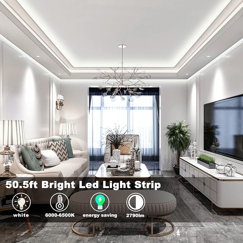 Tira luces LED blancas 50.5ft regulable con control remoto