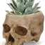 Maceta calavera realista para suculentas y cactus gótico
